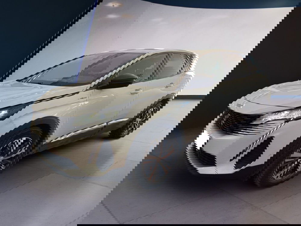 Peugeot 3008 usata a Torino (2)