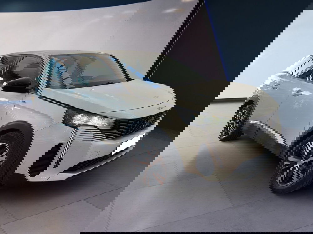 Peugeot 3008 usata a Torino (3)