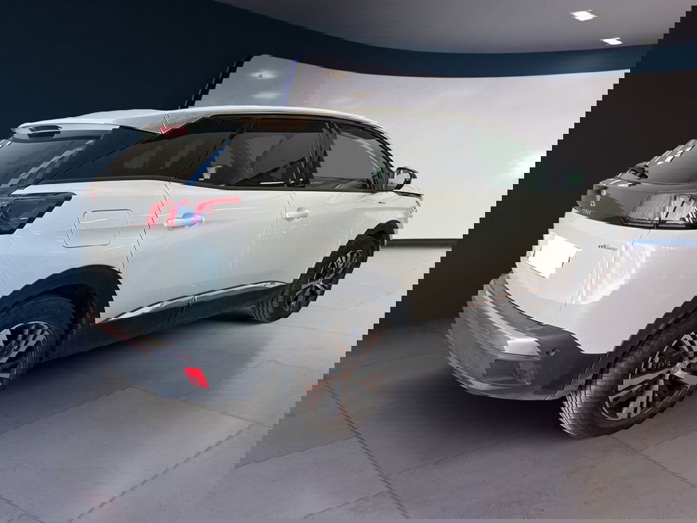 Peugeot 3008 usata a Torino (4)