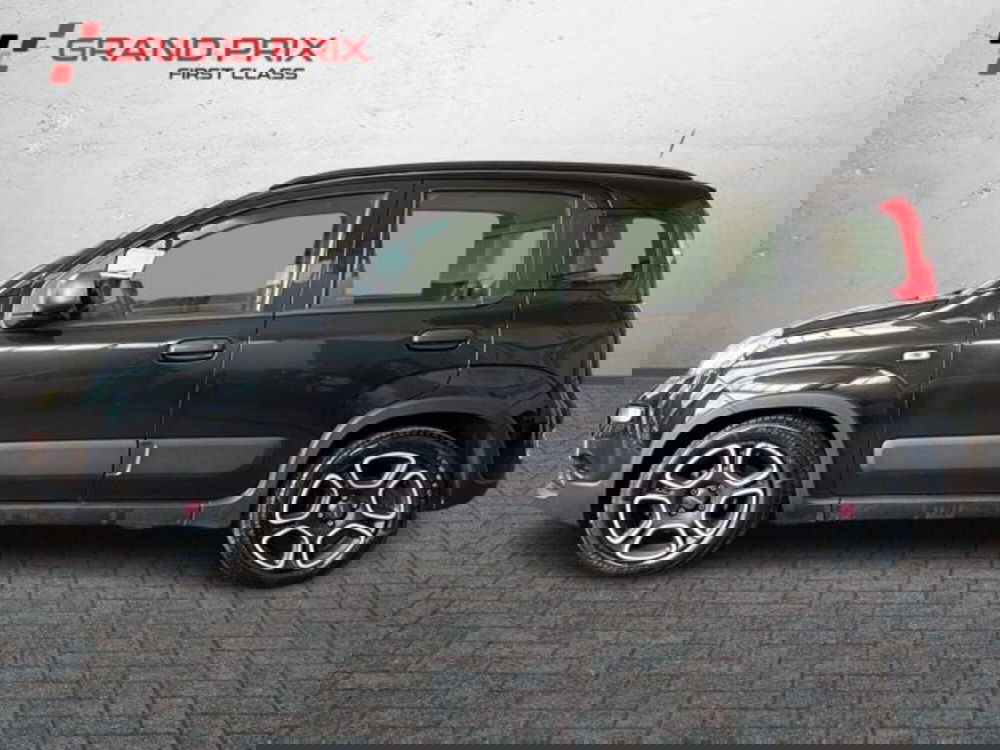 Fiat Panda usata a Bologna (7)