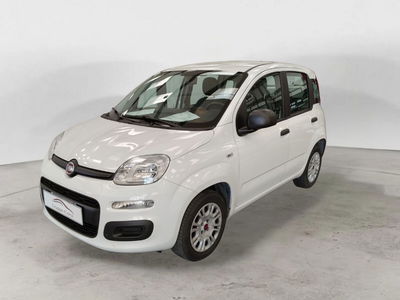 Fiat Panda 1.2 Pop del 2018 usata a Genzano di Roma