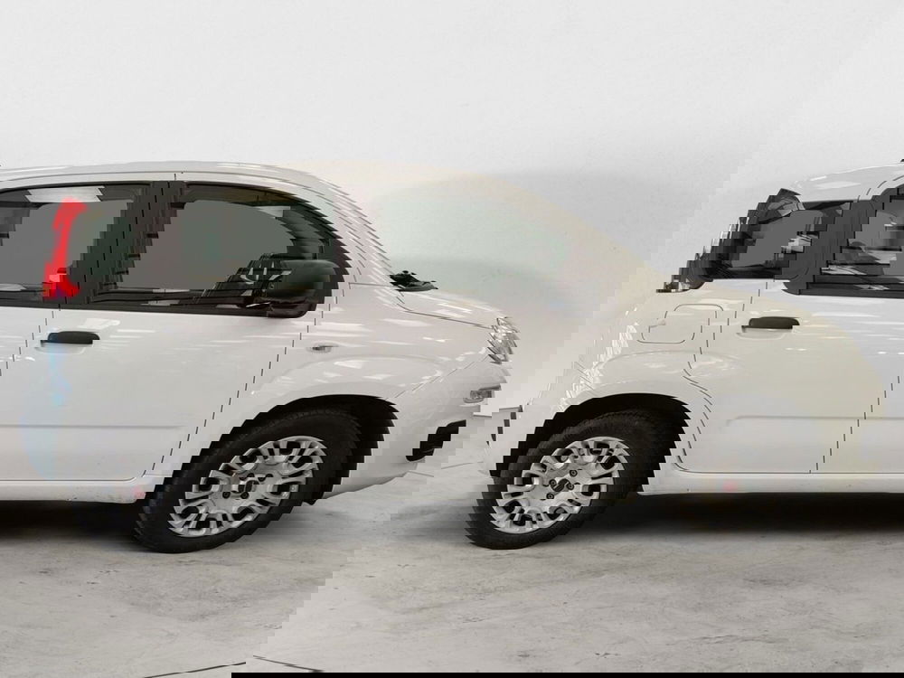 Fiat Panda usata a Roma (16)