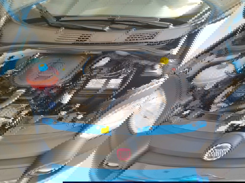 Fiat Panda Cross nuova a Reggio Emilia (16)