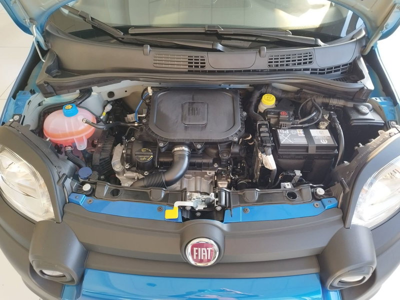 Fiat Panda Cross nuova a Reggio Emilia (16)