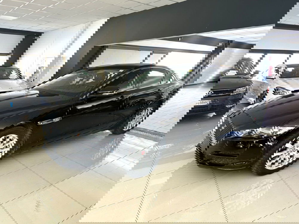 Jaguar XE usata a Ferrara