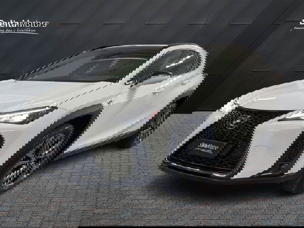 Lexus UX usata a Macerata