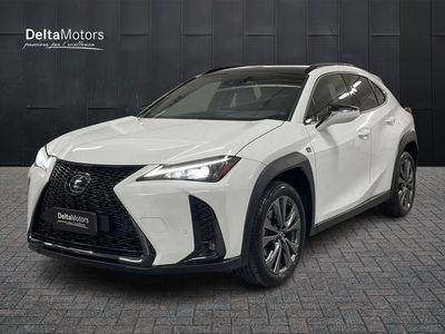 Lexus UX Hybrid F Sport del 2024 usata a Montecosaro
