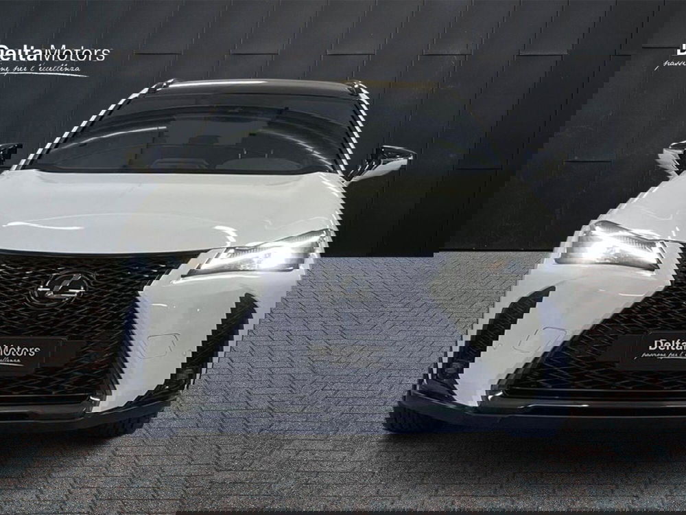 Lexus UX usata a Macerata (2)