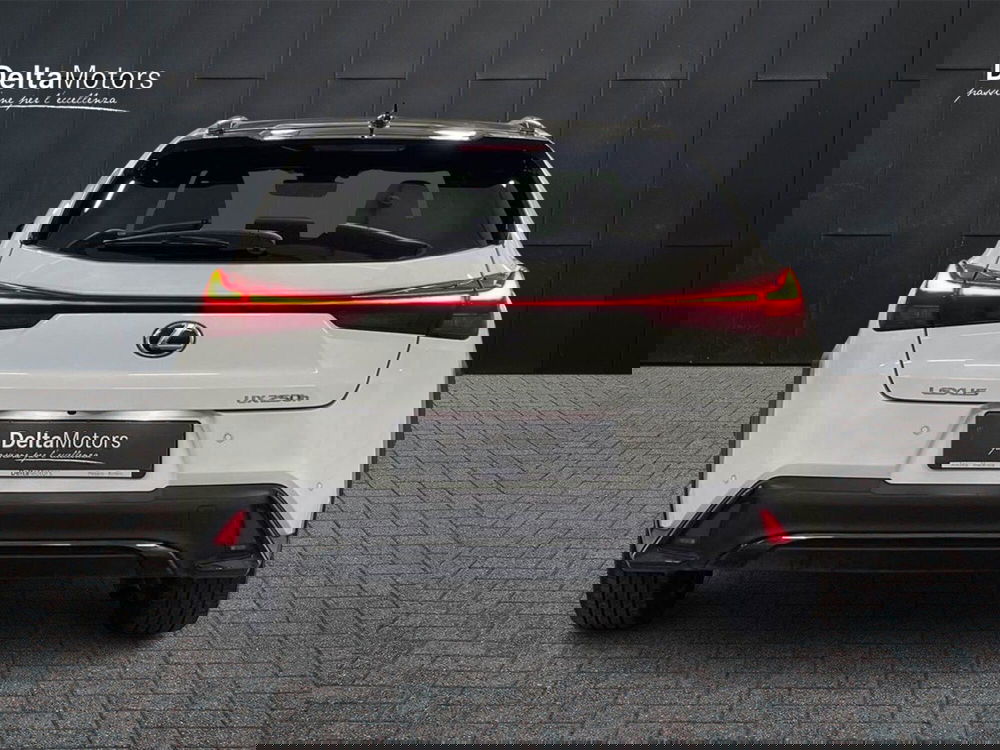 Lexus UX usata a Macerata (6)