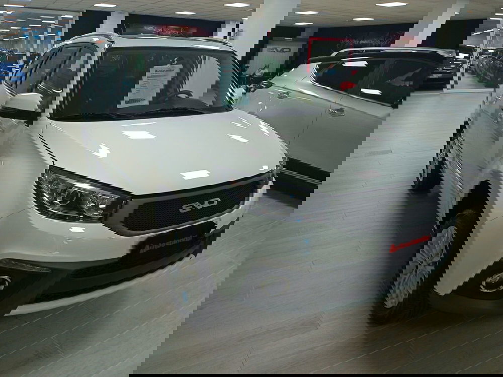 Evo Evo 5 usata a Torino