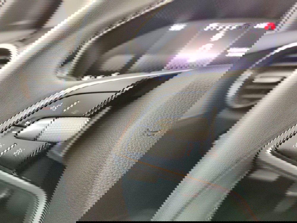 Skoda Fabia usata a Massa-Carrara (14)