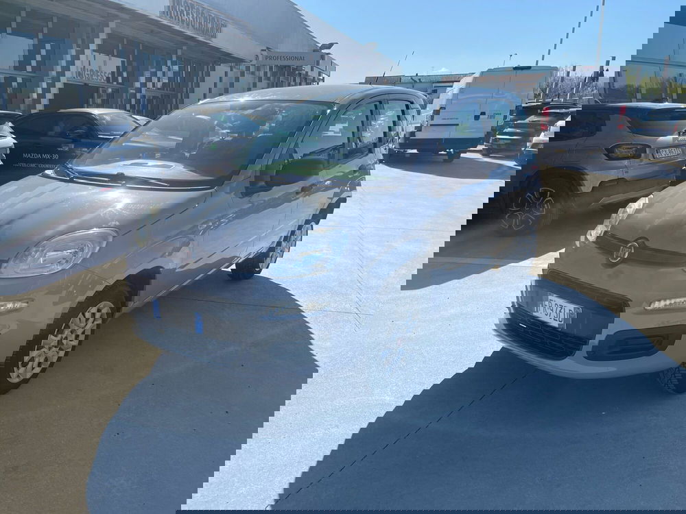 Fiat Panda usata a Frosinone