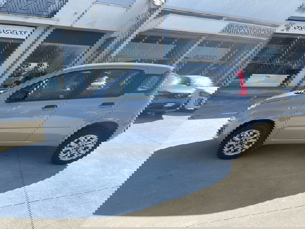 Fiat Panda usata a Frosinone (2)