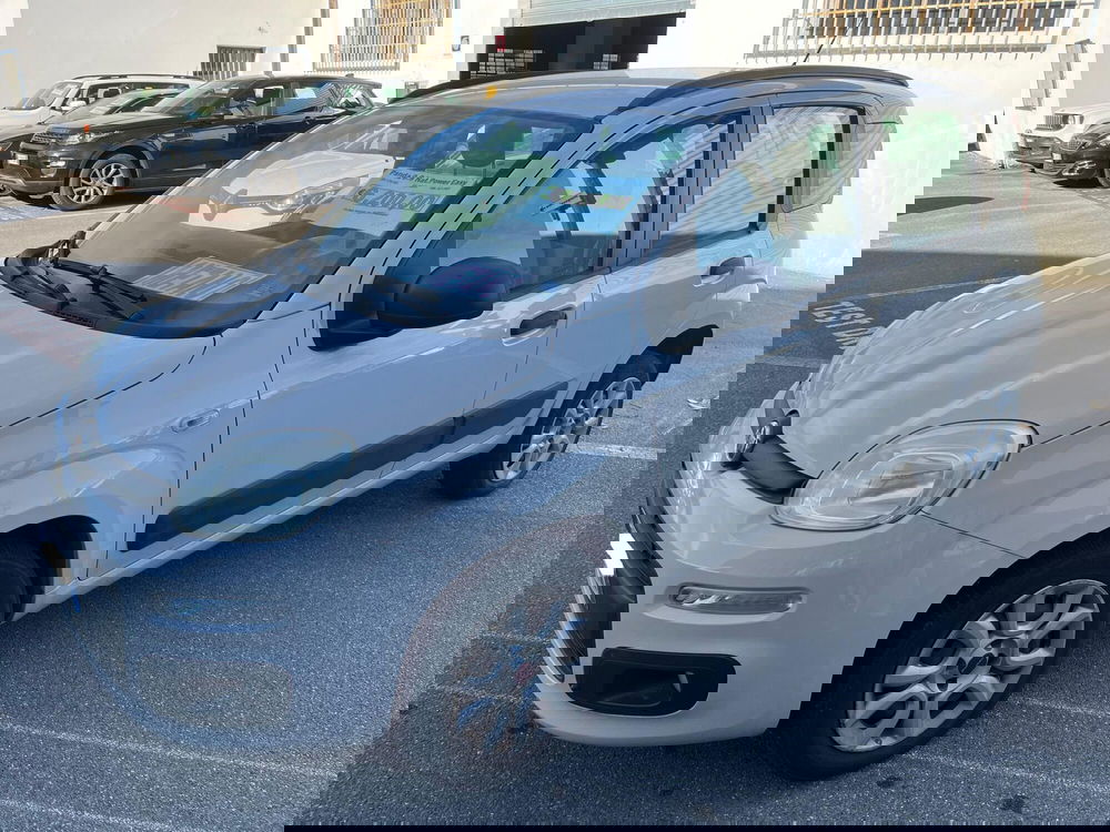 Fiat Panda usata a Lucca