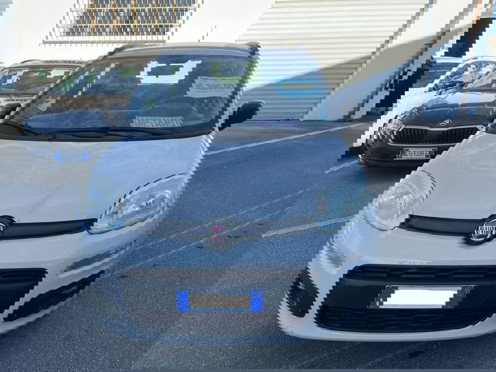 Fiat Panda usata a Lucca (2)