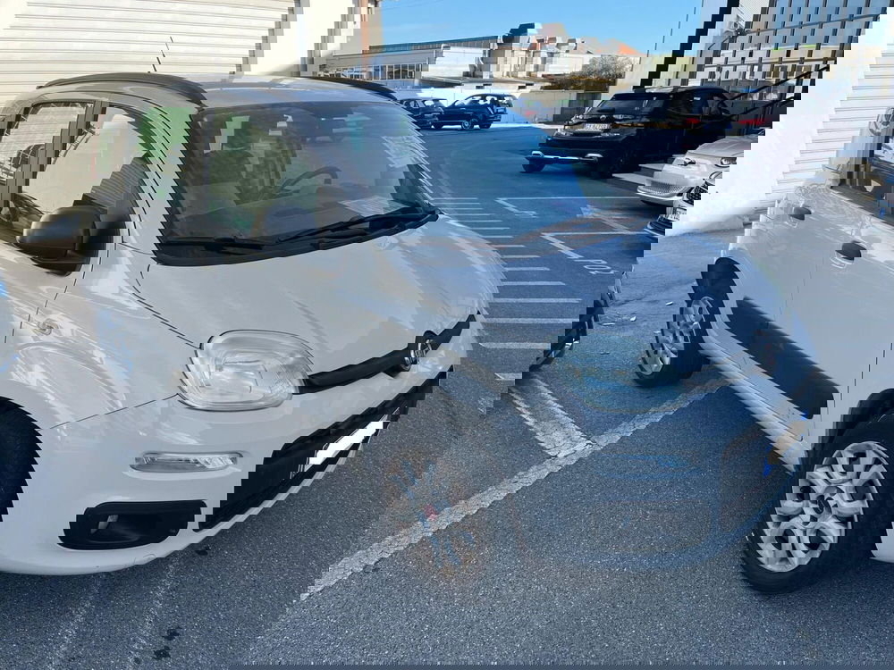 Fiat Panda usata a Lucca (3)