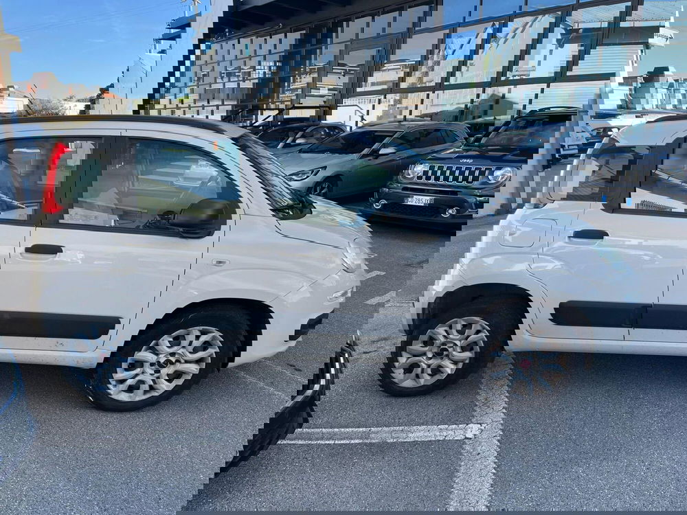 Fiat Panda usata a Lucca (4)