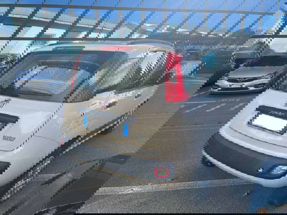 Fiat Panda usata a Lucca (5)