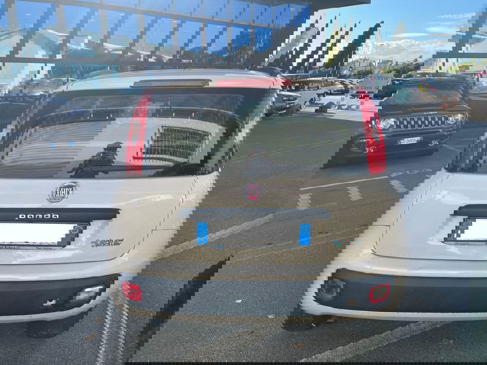 Fiat Panda usata a Lucca (6)