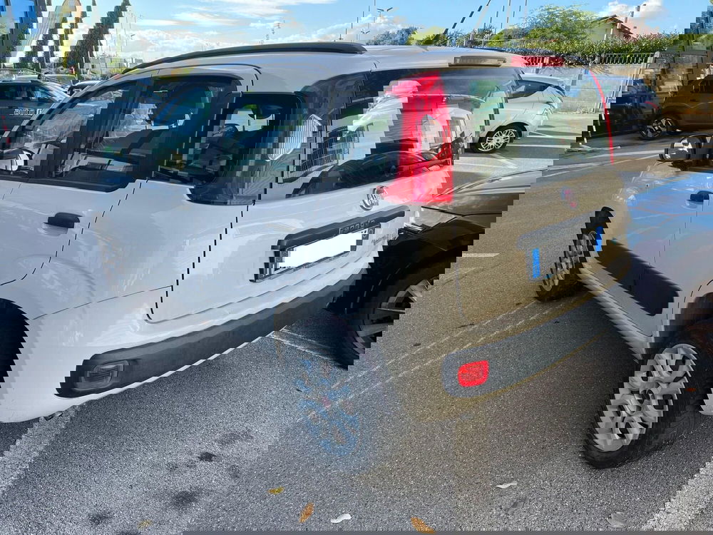 Fiat Panda usata a Lucca (7)