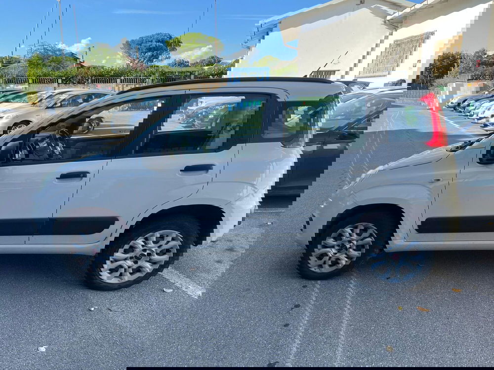 Fiat Panda usata a Lucca (8)