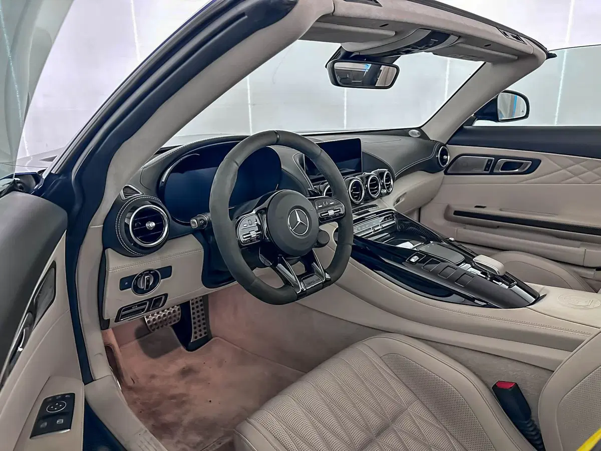 Mercedes-Benz AMG GT R usata a Milano (12)