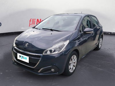Peugeot 208 75 5 porte Active del 2016 usata a Massa