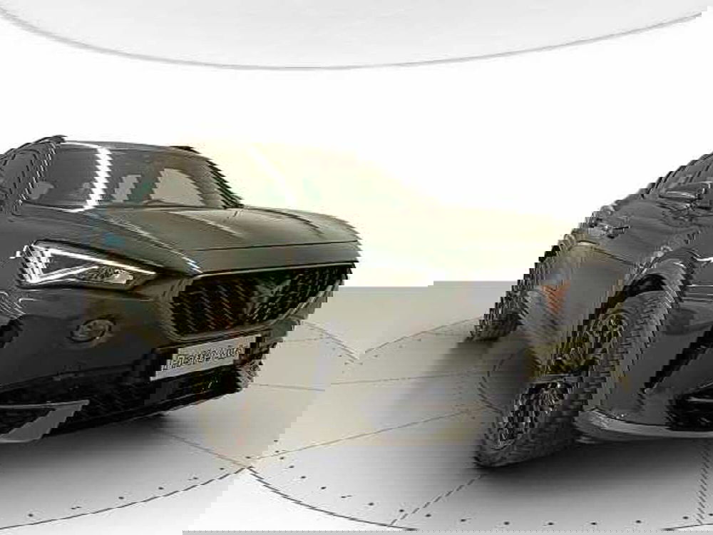 Cupra Formentor usata a Teramo (6)