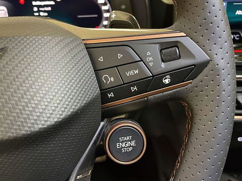 Cupra Formentor usata a Vicenza (11)