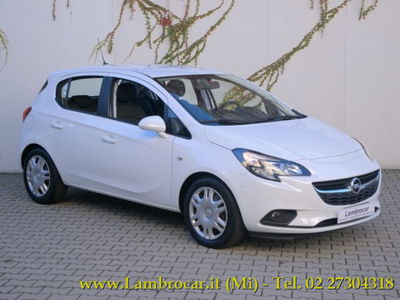 Opel Corsa 1.2 5 porte Advance del 2016 usata a Cologno Monzese