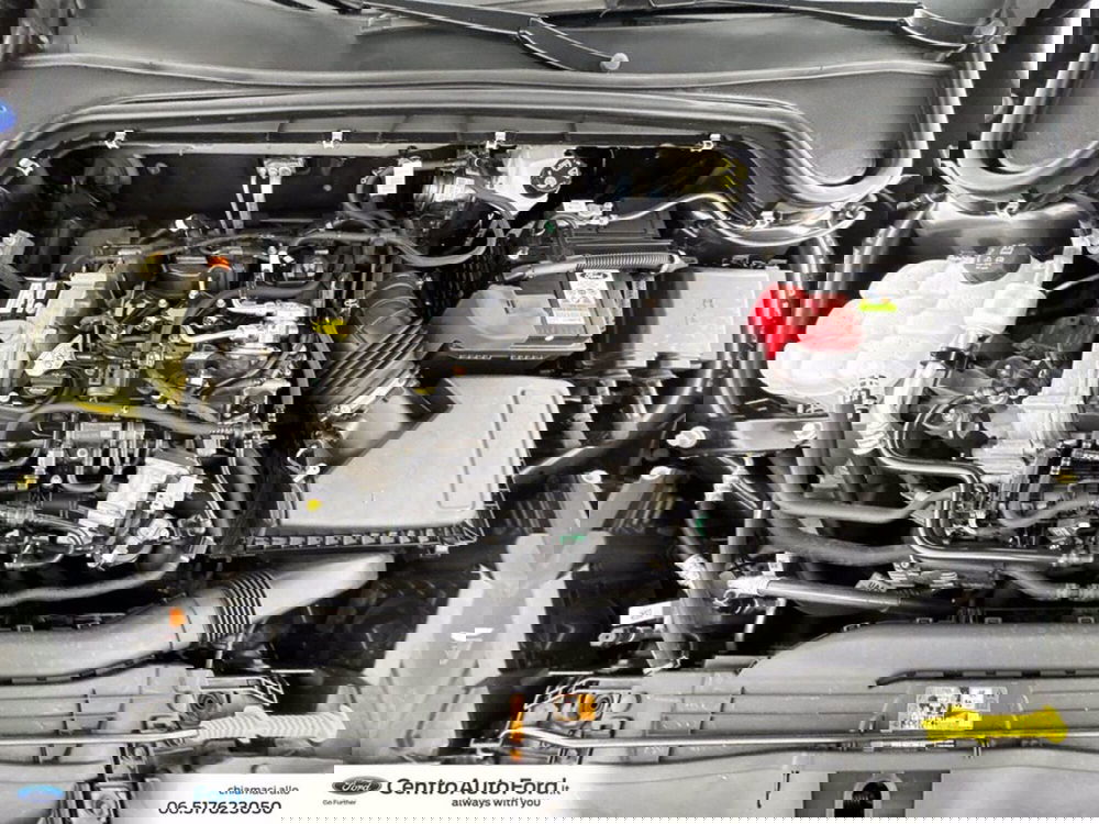 Ford Focus usata a Roma (13)