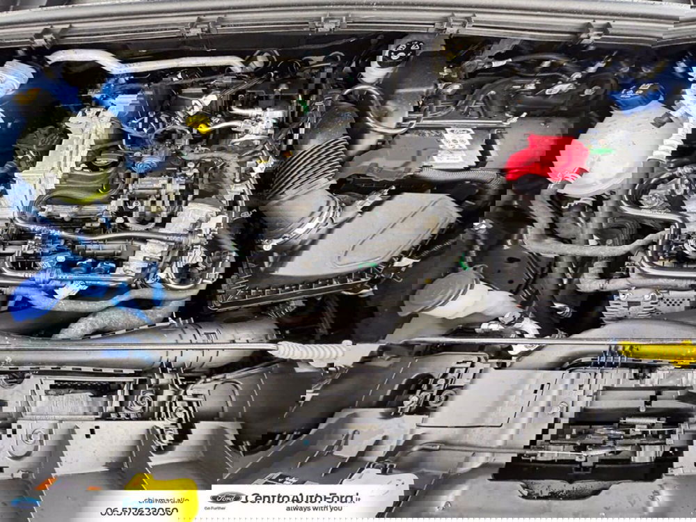 Ford Puma usata a Roma (12)