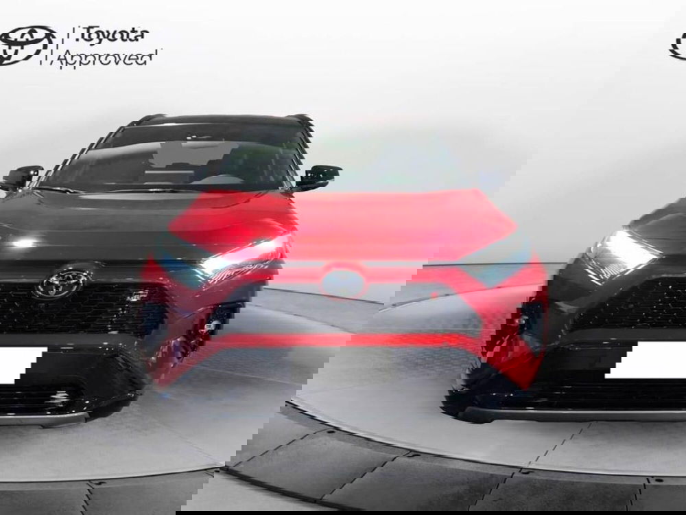 Toyota Rav4 usata a Torino (2)