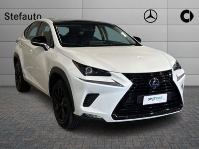 Lexus NX Hybrid 4WD Sport del 2019 usata a Bologna