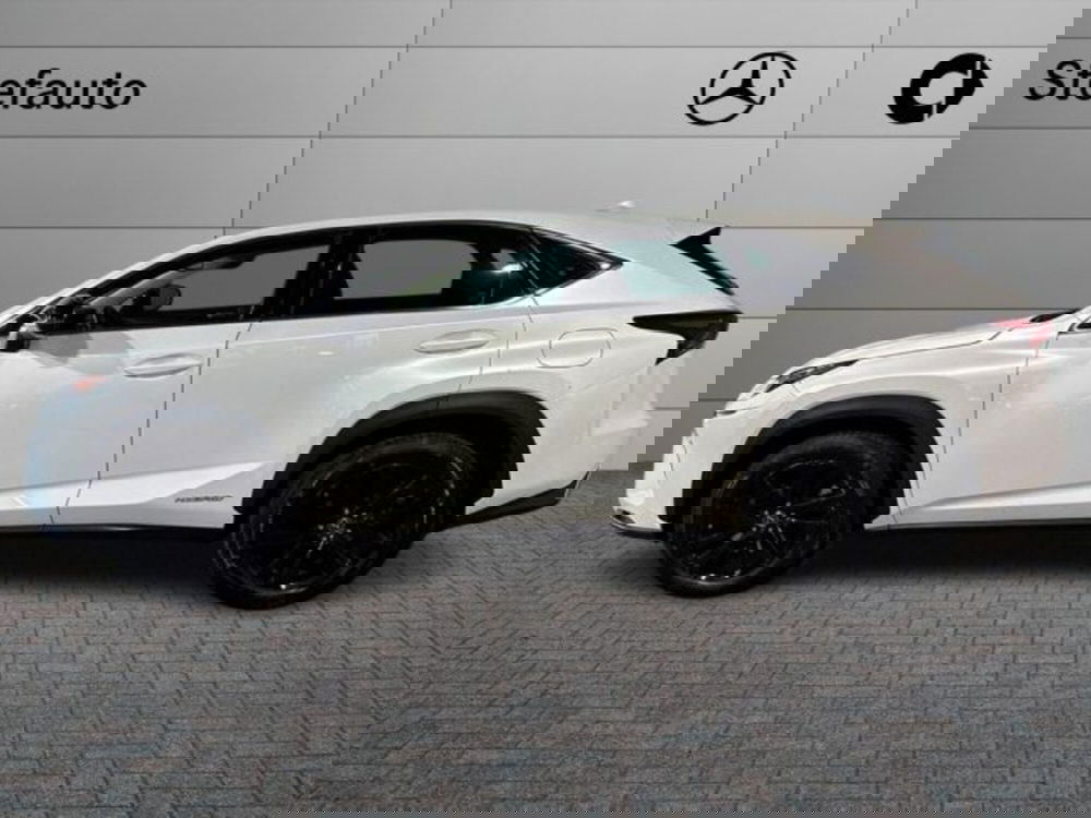 Lexus NX usata a Bologna (3)