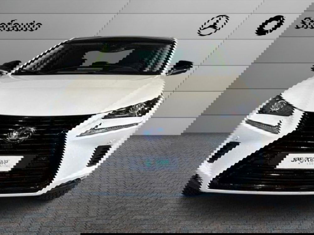 Lexus NX usata a Bologna (4)