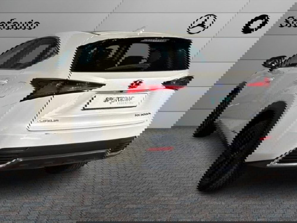 Lexus NX usata a Bologna (5)