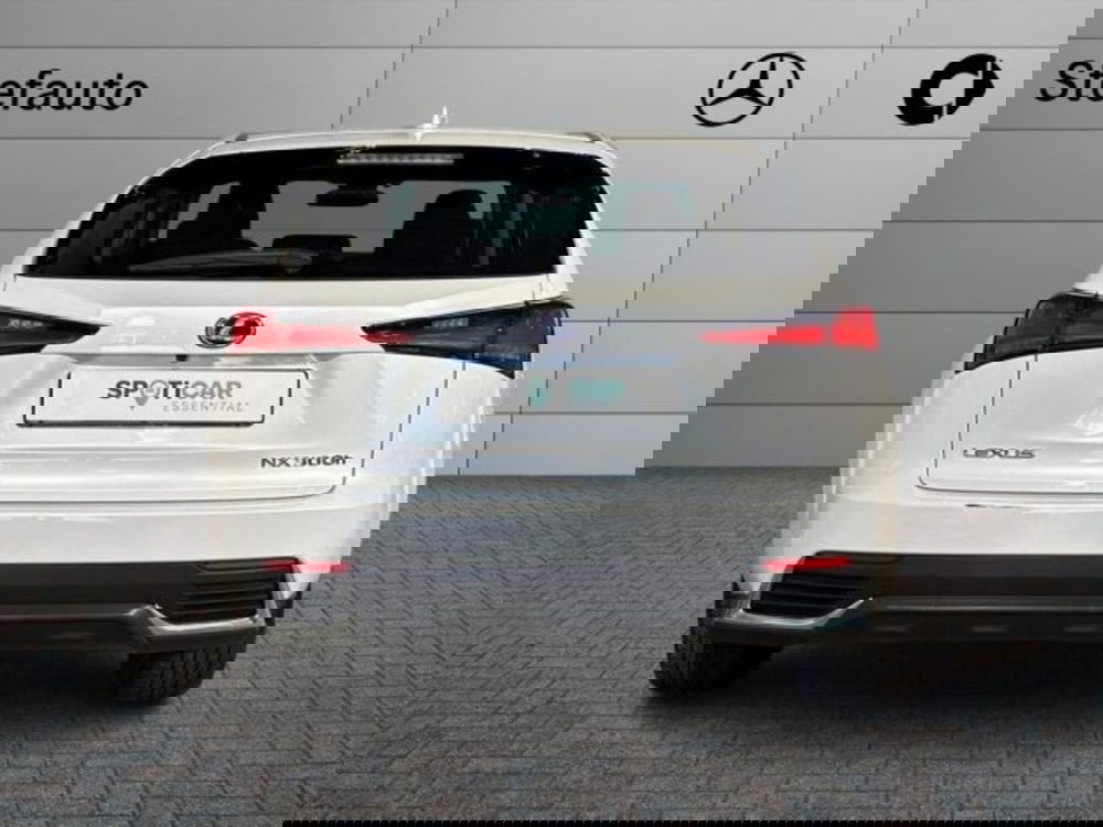 Lexus NX usata a Bologna (6)