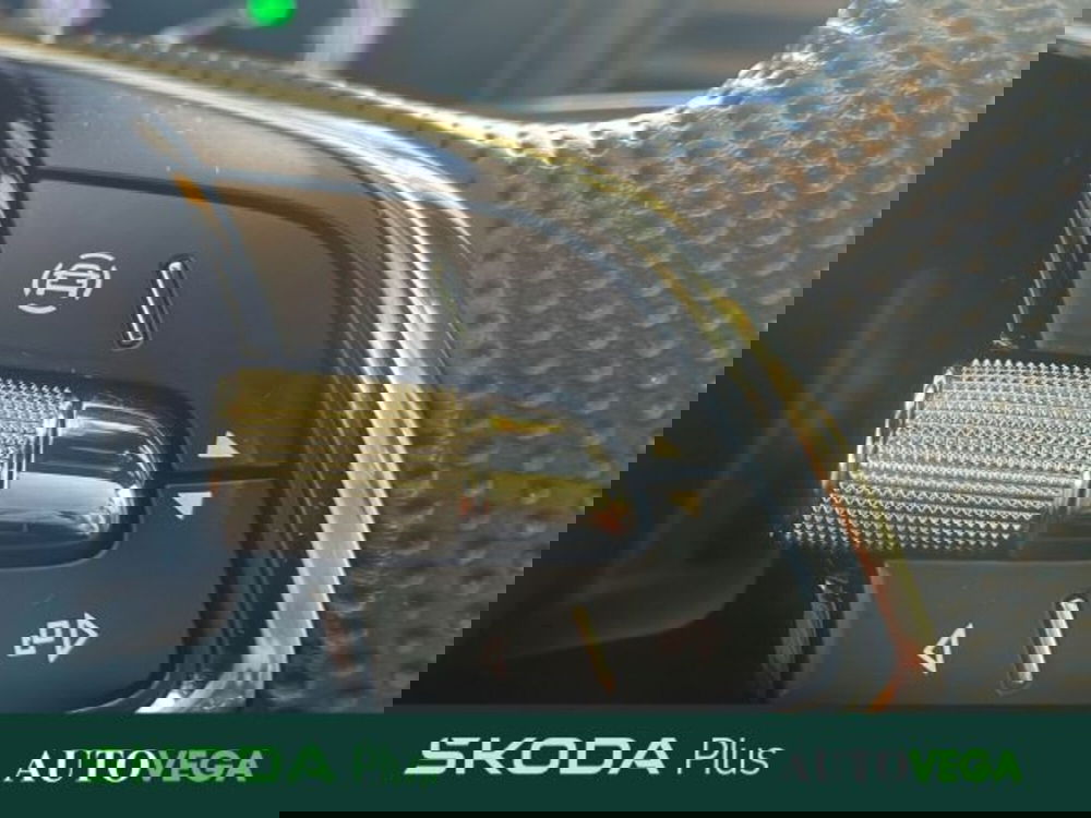 Skoda Karoq usata a Vicenza (13)