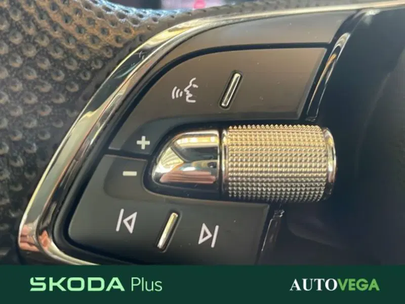 Skoda Karoq usata a Vicenza (14)
