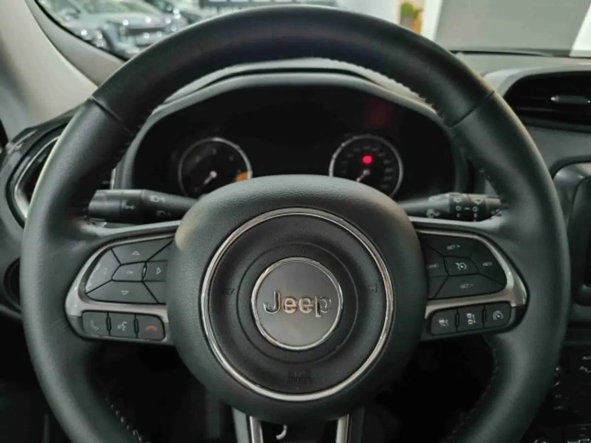Jeep Renegade usata a Catania (17)