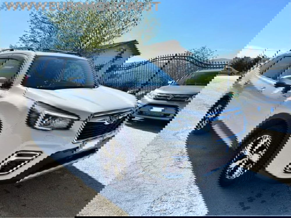 Subaru Forester usata a Campobasso (10)