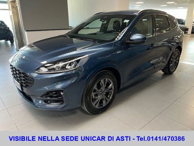 Ford Kuga 1.5 EcoBoost 150 CV 2WD ST-Line del 2021 usata a Alba