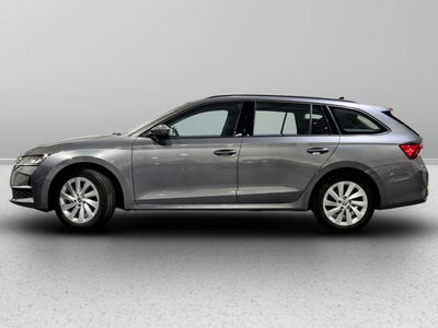 Skoda Octavia Station Wagon 2.0 tdi Executive 150cv dsg del 2024 usata a Piove di Sacco
