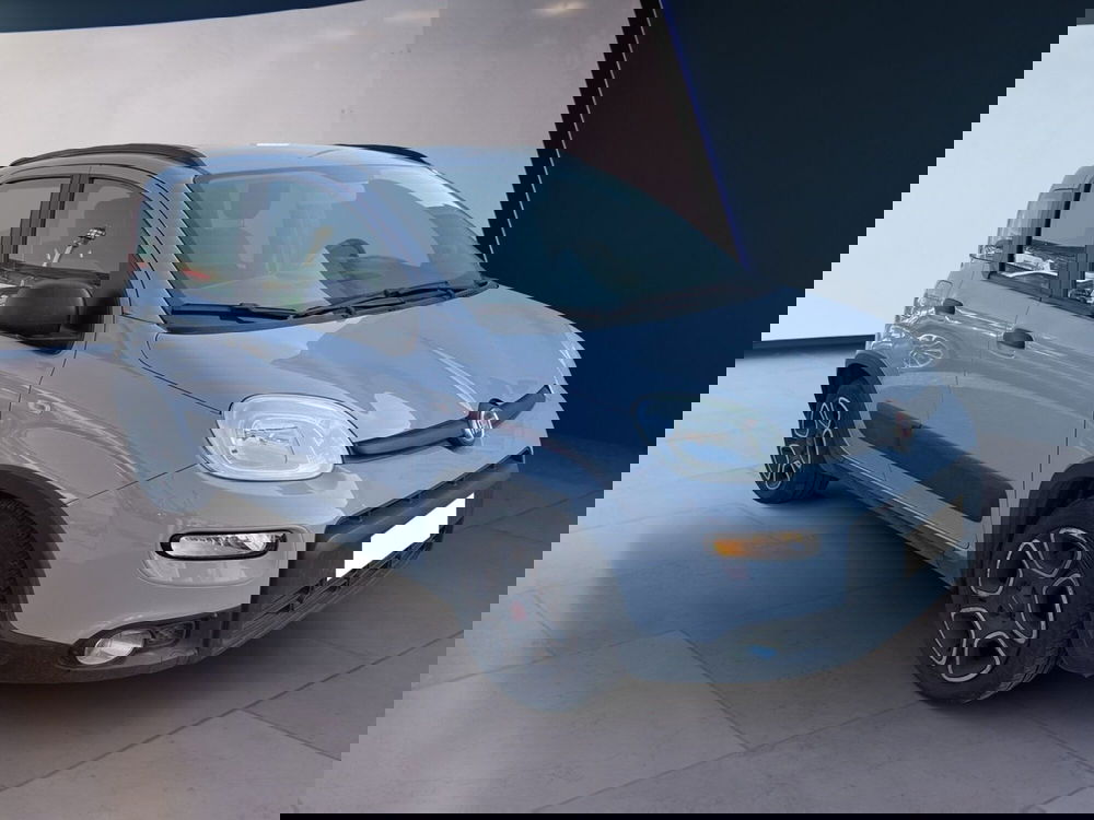 Fiat Panda usata a Torino (3)