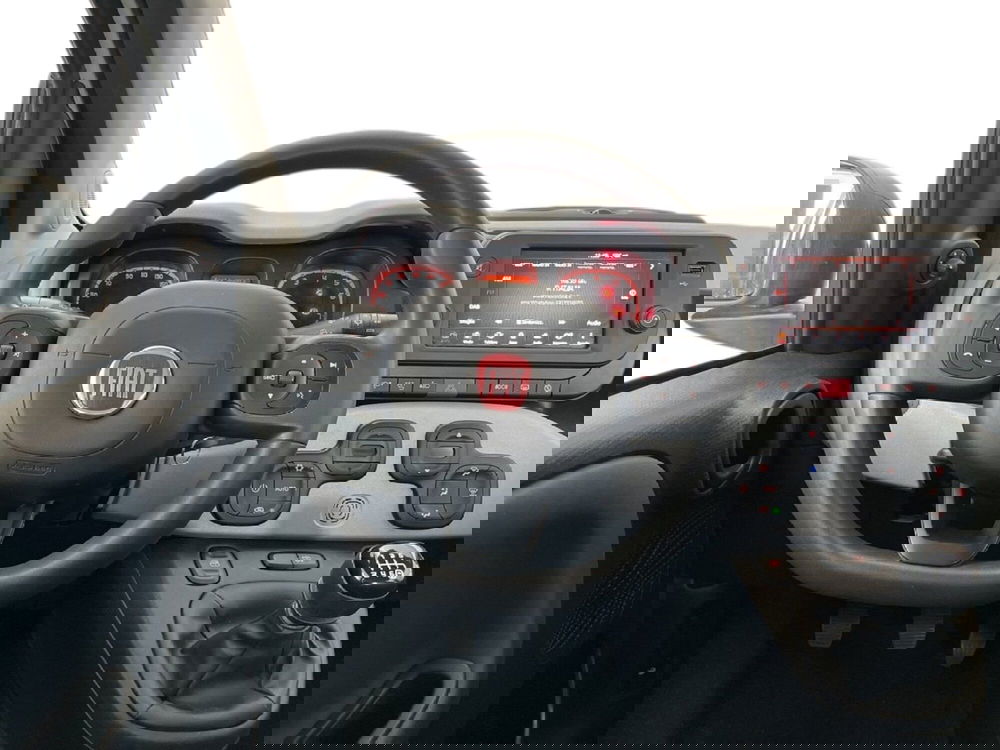 Fiat Panda Cross usata a Torino (11)