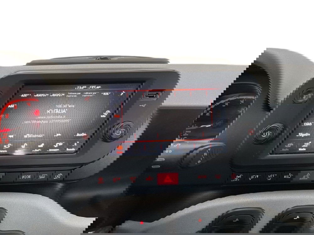 Fiat Panda Cross usata a Torino (12)