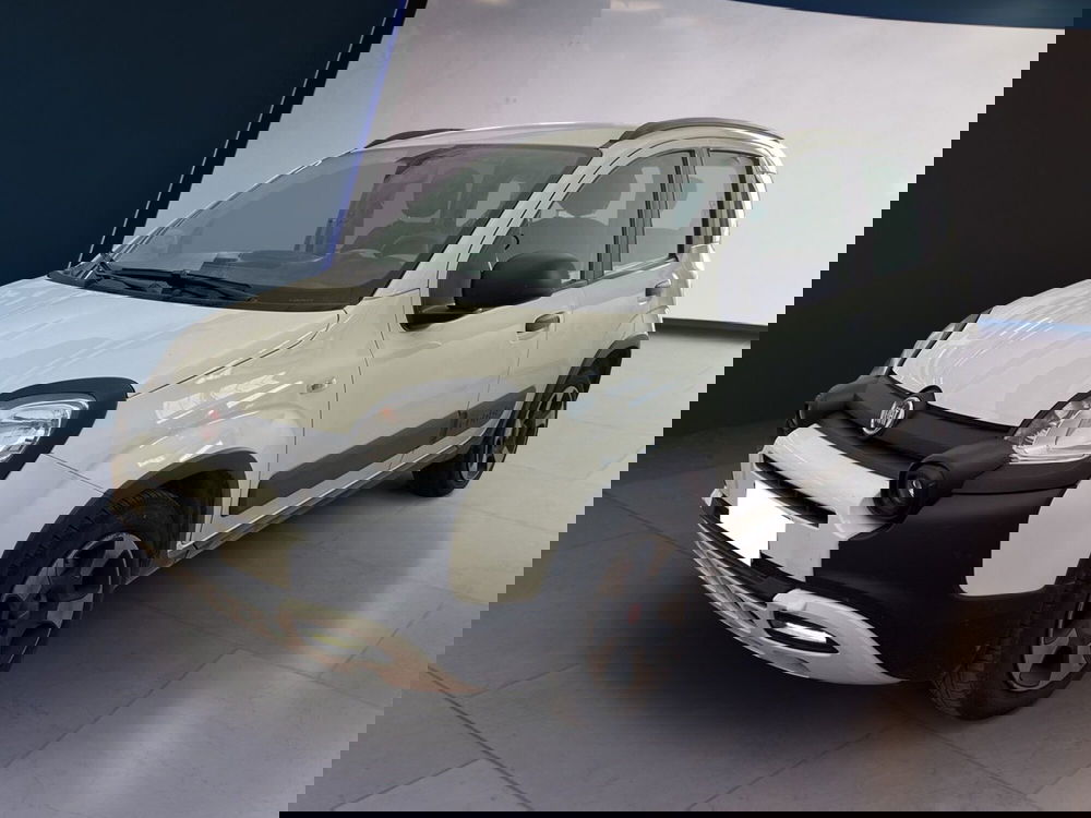 Fiat Panda Cross usata a Torino (2)