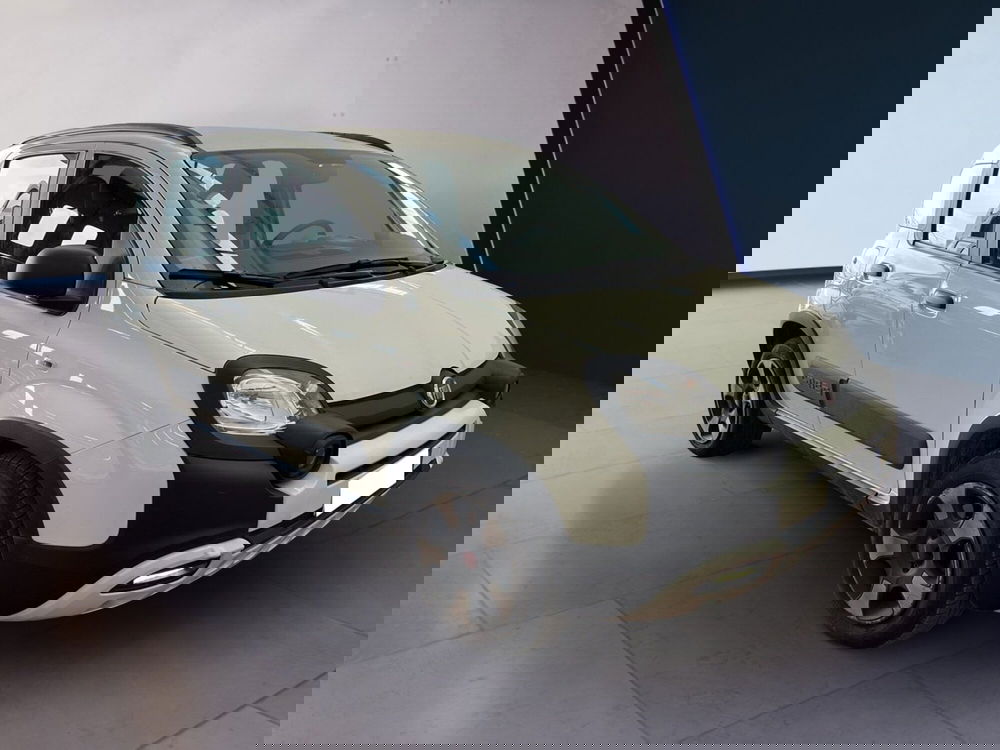Fiat Panda Cross usata a Torino (3)