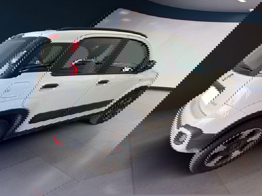 Fiat Panda Cross usata a Torino (4)